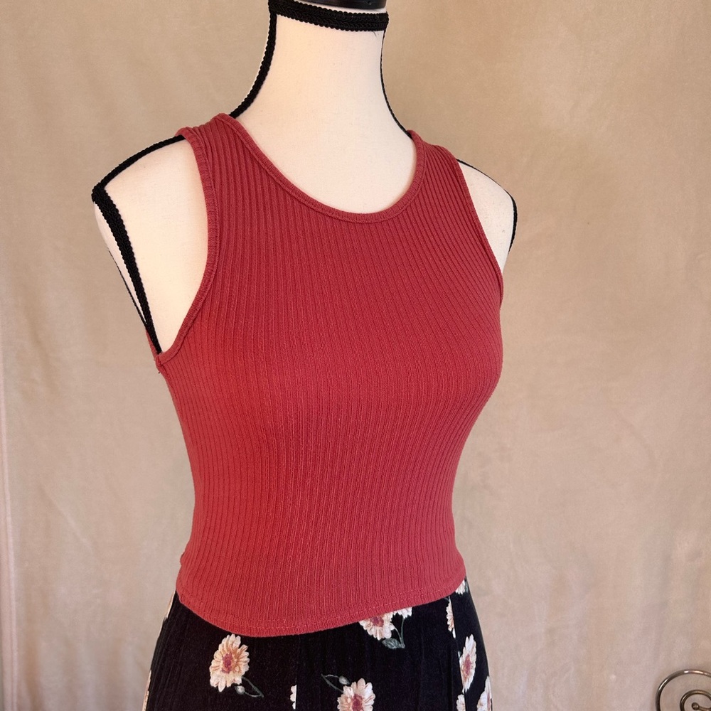 Revamped Rust Ribbed Crop Top - Picture 2 of 6